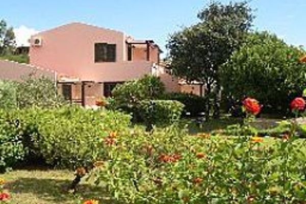 Albaruja (Muravera)